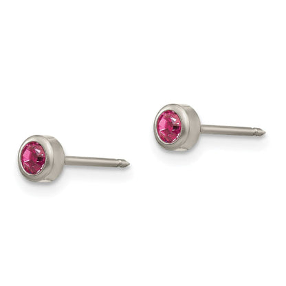 Inverness Titanium 4mm Rose Crystal Bezel Earrings