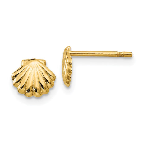 14k Polished Shell Post Earrings