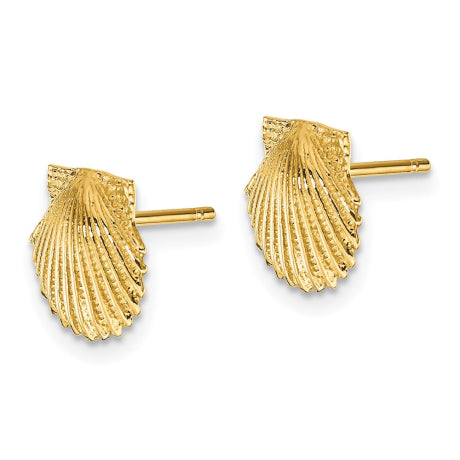 14k Scallop Shell Post Earrings